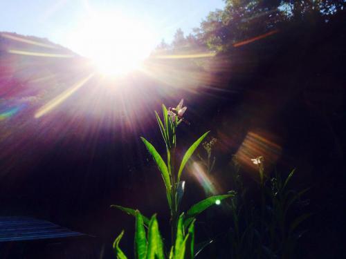 52478555_717812435279554_8241485583197667328_n